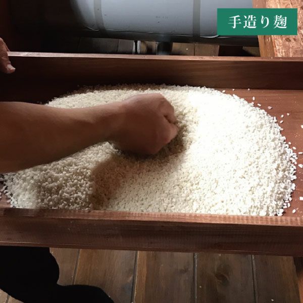 手造り青潮　力強い　通好み